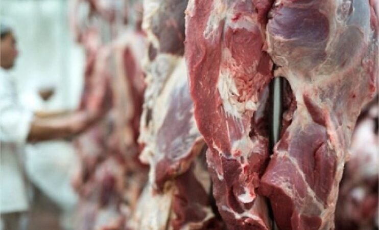 Exportações de carne bovina podem cair 36,7% em outubro, apesar de preços mais altos