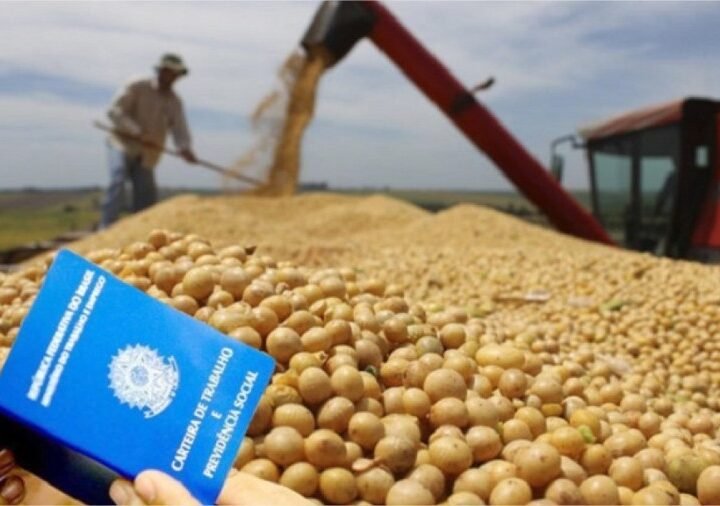 Salário médio no agronegócio subiu 3,7% acima da inflação e chegou a R$ 2.972 por mês