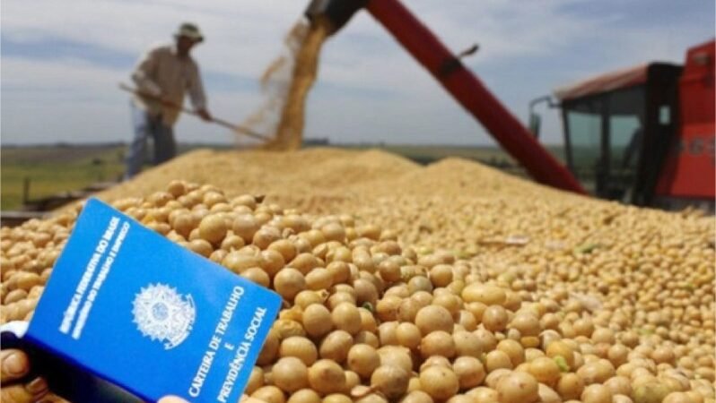 Salário médio no agronegócio subiu 3,7% acima da inflação e chegou a R$ 2.972 por mês