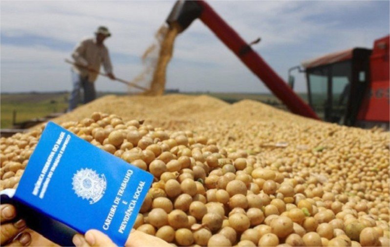Salário médio no agronegócio subiu 3,7% acima da inflação e chegou a R$ 2.972 por mês