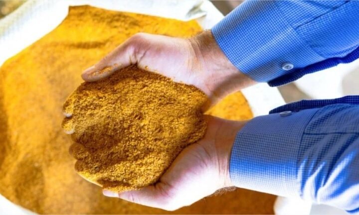 China vira principal destino e acelera vendas do coproduto de milho em Mato Grosso