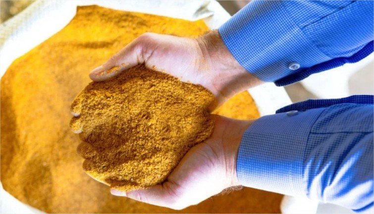 China vira principal destino e acelera vendas do coproduto de milho em Mato Grosso