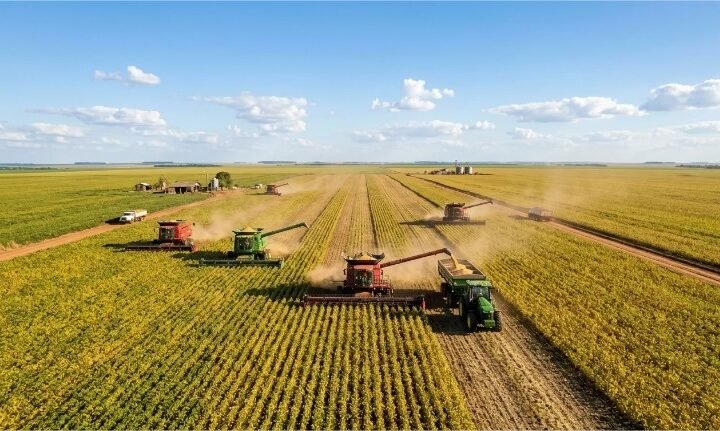 Safra brasileira de grãos pode chegar a 367,1 milhões de toneladas, prevê Conab