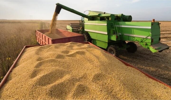 Agronegócio de Mato Grosso movimenta R$ 225 bilhões e lidera ranking nacional