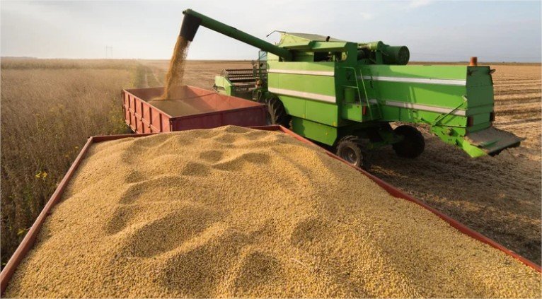 Agronegócio de Mato Grosso movimenta R$ 225 bilhões e lidera ranking nacional