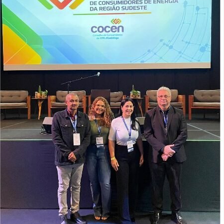Conselheiros de Mato Grosso participam de encontro sobre eventos climáticos e impactos na conta de energia elétrica