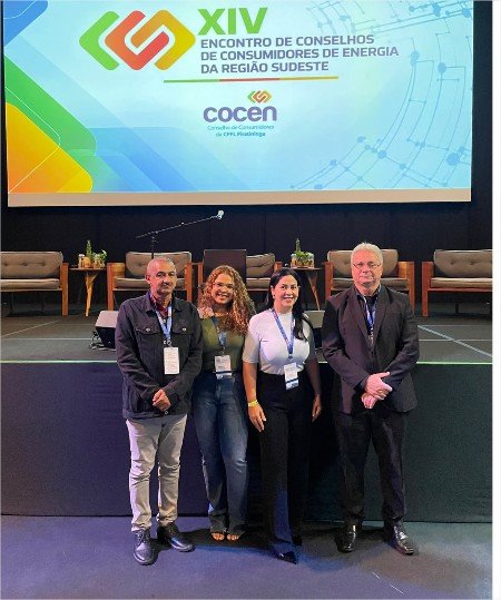 Conselheiros de Mato Grosso participam de encontro sobre eventos climáticos e impactos na conta de energia elétrica