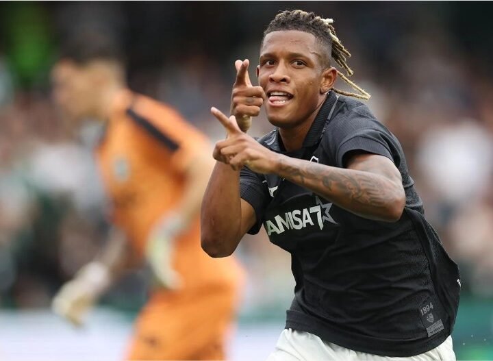 Danilo, sempre ele, evita nova derrota do Botafogo no Brasileiro