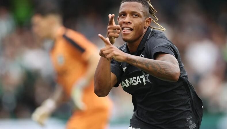 Danilo, sempre ele, evita nova derrota do Botafogo no Brasileiro