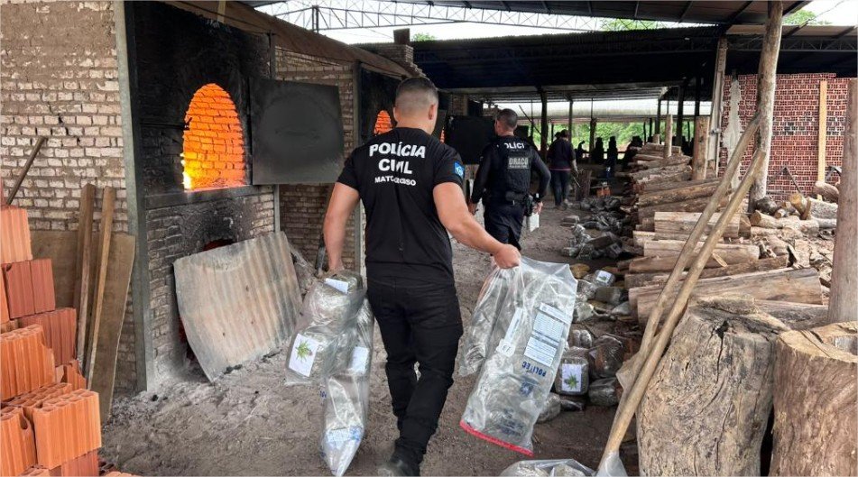 Polícia Civil destrói mais 400 quilos de entorpecentes em quinta incineração do ano em Cáceres