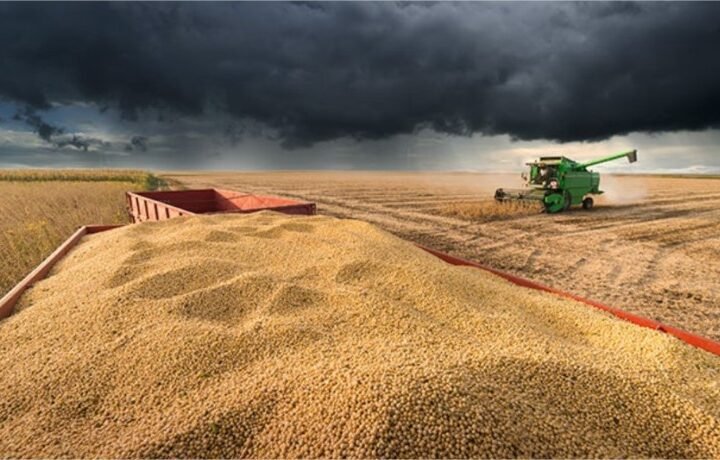 El Niño pode ameaçar R$ 33 bilhões da produção de soja no Brasil