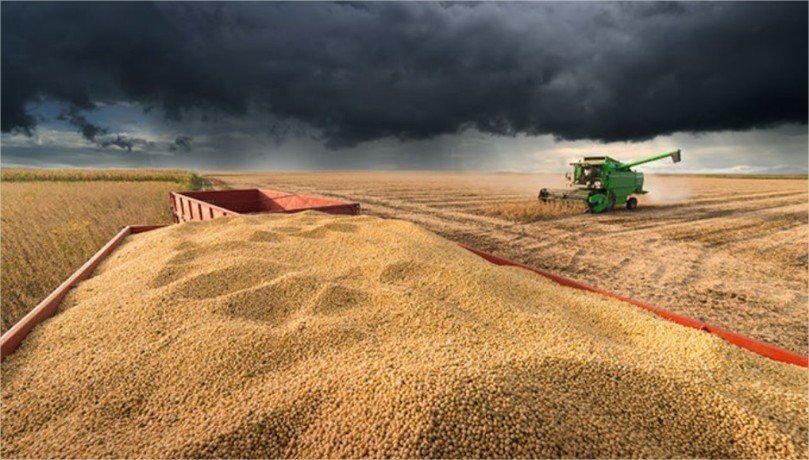 El Niño pode ameaçar R$ 33 bilhões da produção de soja no Brasil