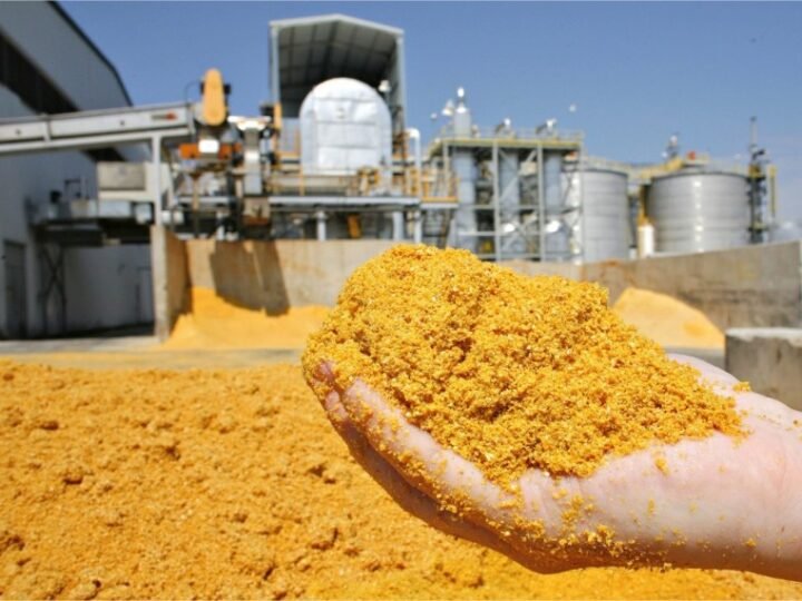 Exportações de farelo de soja devem crescer 44% em outubro, aponta Anec