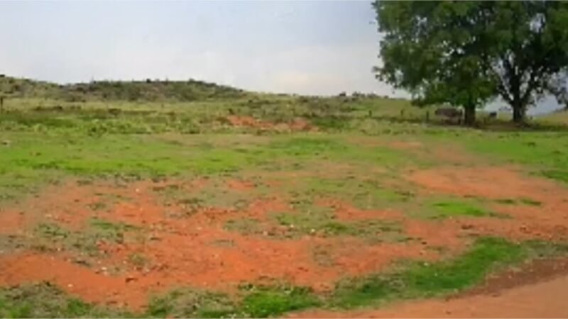Produtor compra fazenda em leilão judicial e pode perder propriedade sem nunca ter sido citado no processo