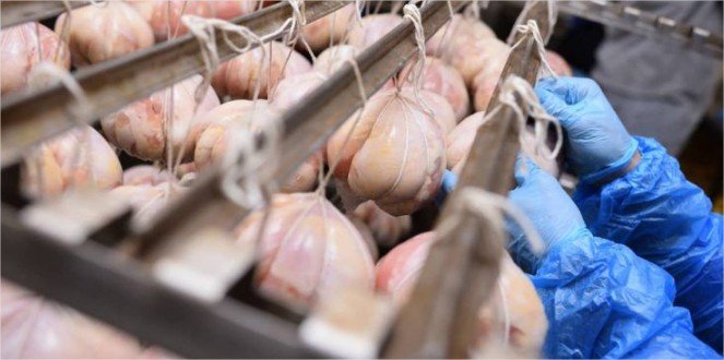 Exportações de carne de frango de Mato Grosso crescem 24,42% em 2026