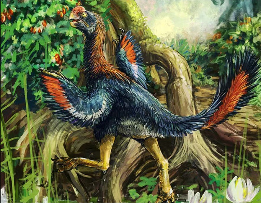 Descoberta “galinha do inferno” que pode ser 1º dinossauro comedor de frutas