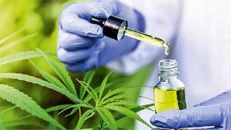 Projeto de lei quer reduzir burocracia para pacientes que utilizam canabidiol em VG