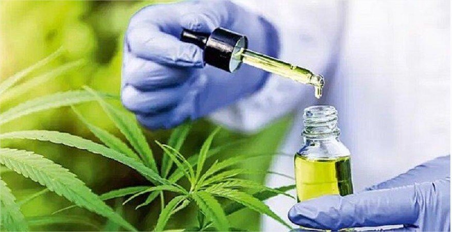 Projeto de lei quer reduzir burocracia para pacientes que utilizam canabidiol em VG