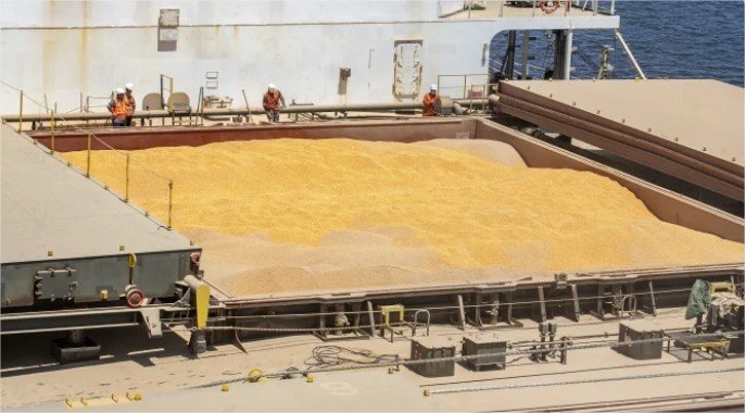 Brasil exporta 5 milhões de toneladas de milho a menos entre julho e setembro e aumenta desafio para atingir 38 mi no ciclo
