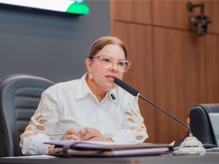 Paula Calil reforça combate à violência contra a mulher e alerta para avanço dos casos em Mato Grosso