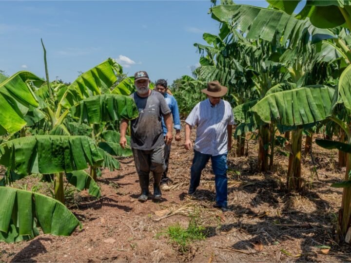 Comunidade rural recebe visita técnica para impulsionar agricultura familiar em Cuiabá
