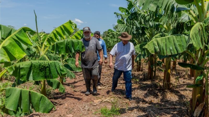 Comunidade rural recebe visita técnica para impulsionar agricultura familiar em Cuiabá