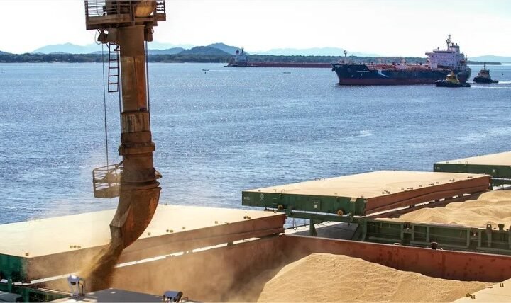 Exportações de soja batem recorde em setembro, apesar da queda nos preços no Brasil