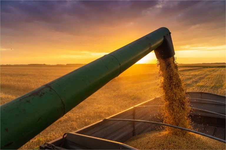Soja estável em Chicago como o mercado internacional impacta Mato Grosso
