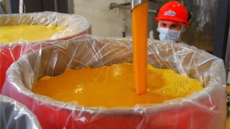 Exportação de suco cresce 9,6% e receita atinge R$ 2,46 bilhões