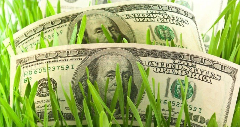 Agronegócio pode ajudar a elevar o Brasil à 8ª economia mundial