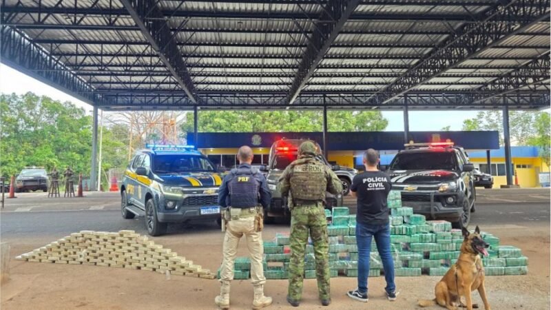 Forças de segurança apreendem 550 quilos de cocaína e causam R$ 9,9 milhões de prejuízo às facções