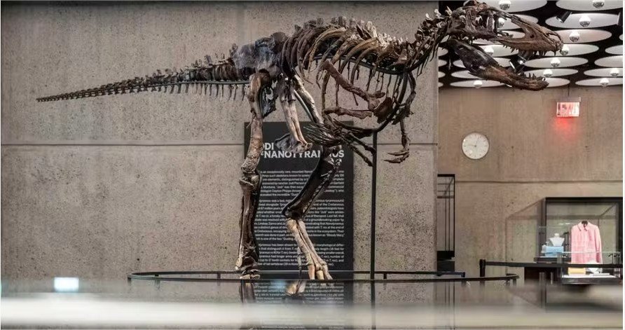 Esqueleto raro de dinossauro é vendido por US$ 47,3 milhões em leilão