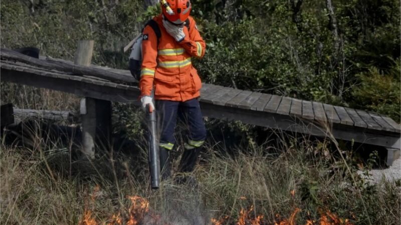 Corpo de Bombeiros combate seis incêndios florestais