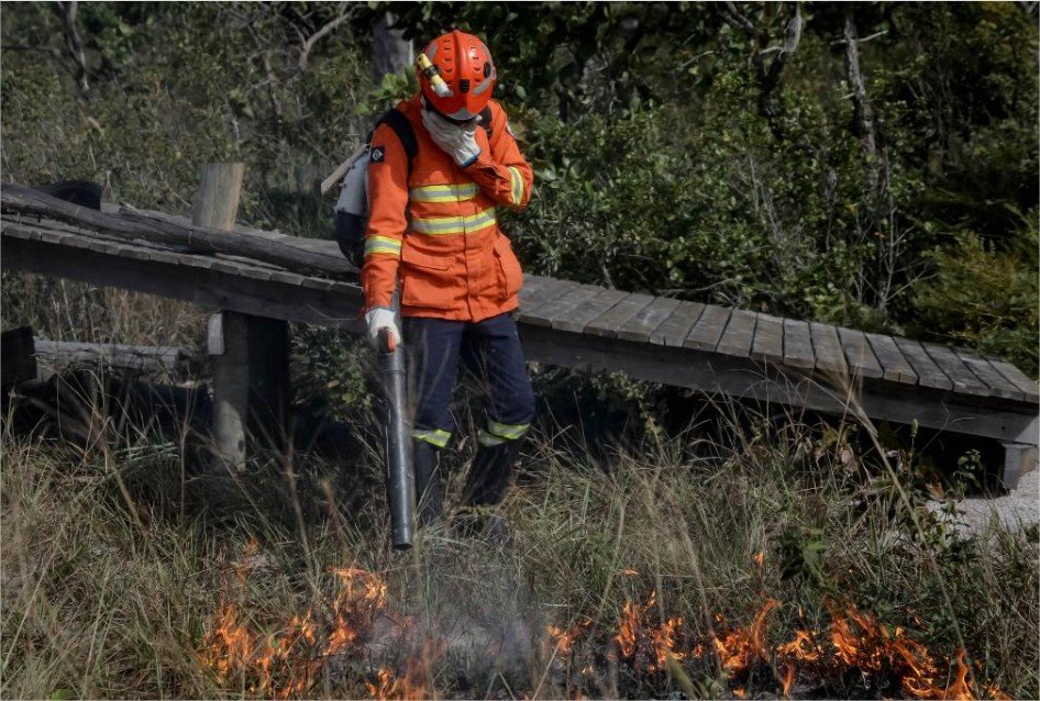 Corpo de Bombeiros combate seis incêndios florestais
