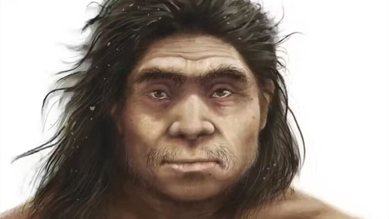Estudo inédito revela aparência dos denisovanos a partir de fóssil de quase 200 mil anos