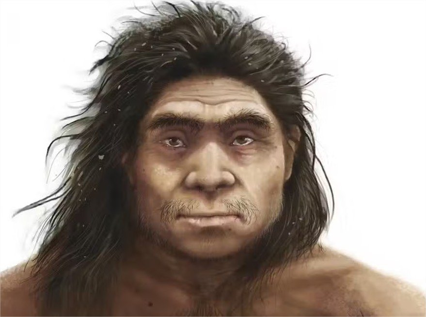 Estudo inédito revela aparência dos denisovanos a partir de fóssil de quase 200 mil anos
